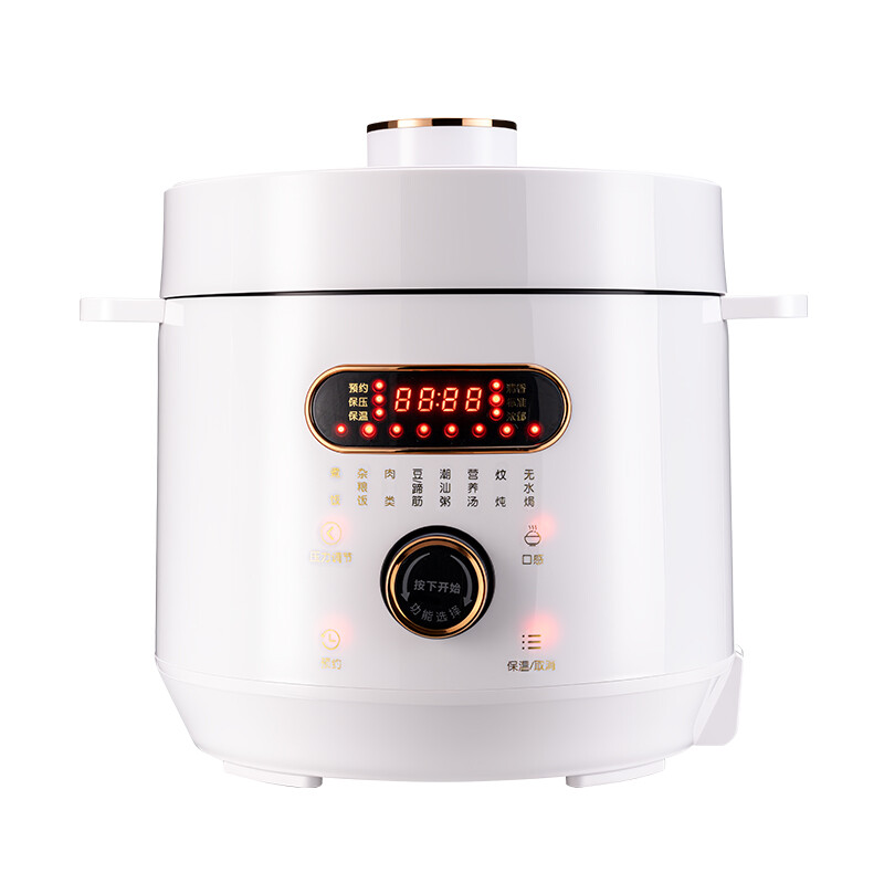 外贸110-220V外销出口跨境电压力锅